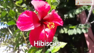 Moving Flashcards for Toddlers: A Fun Educational Tool