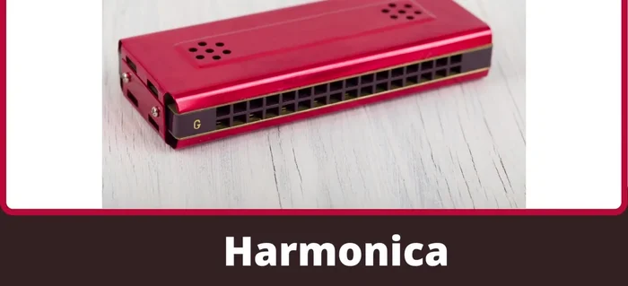 Harmonica