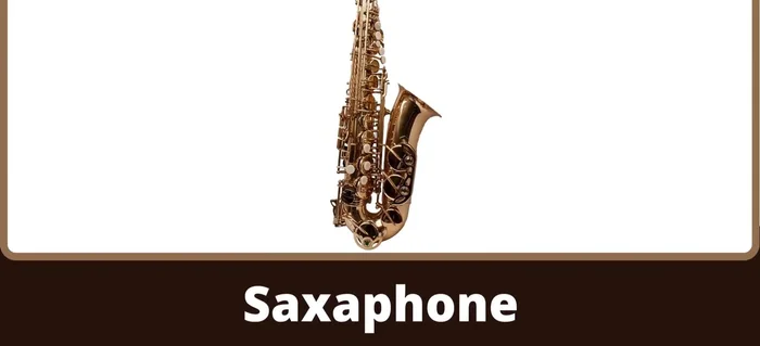 Saxophone