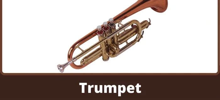 Trumbone