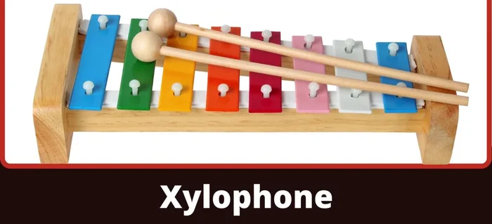 Xylophone