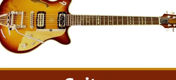 Guitar