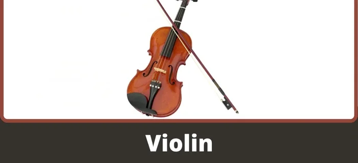 Violin