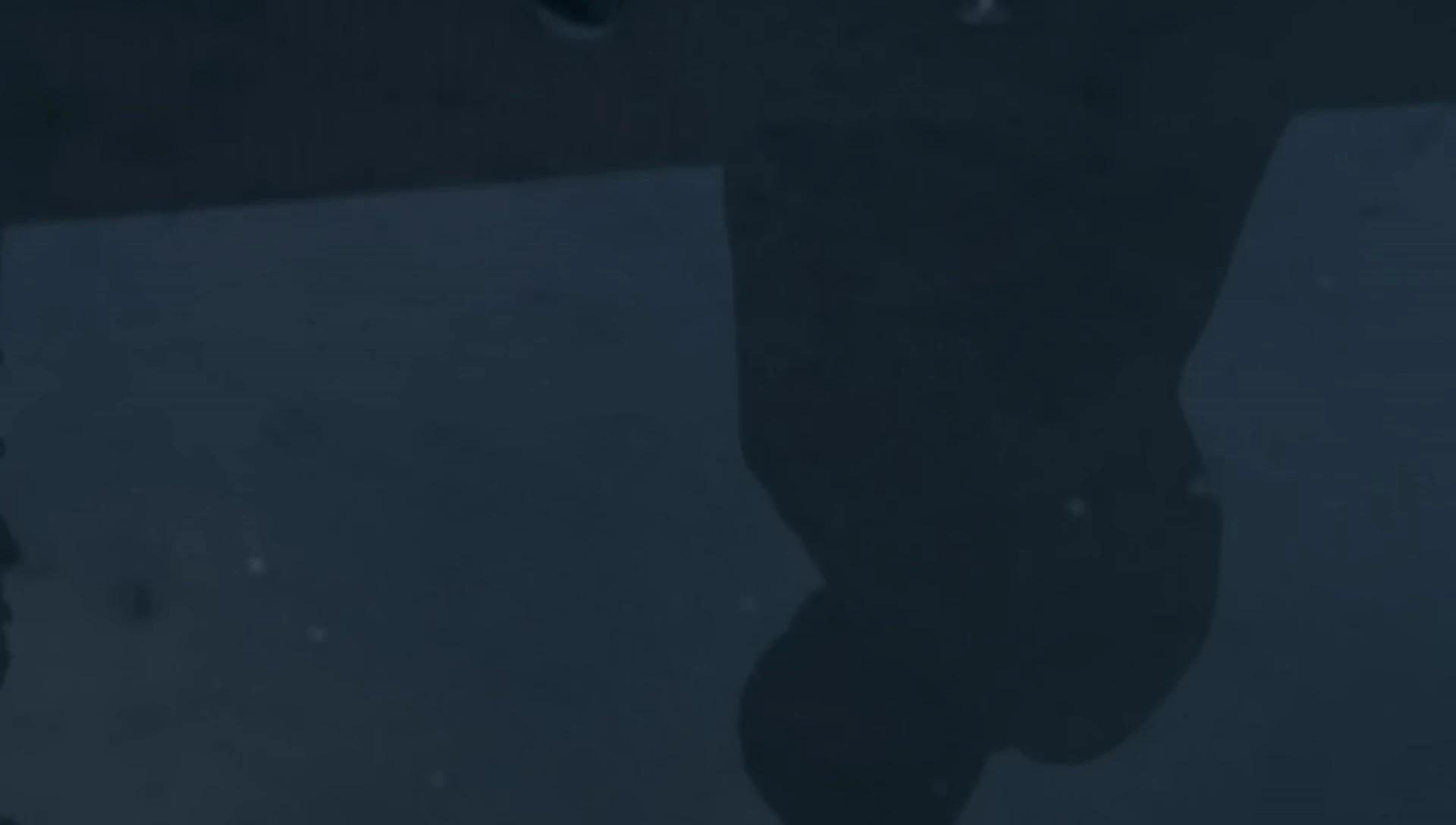 The dummy popping up from the concealment device
