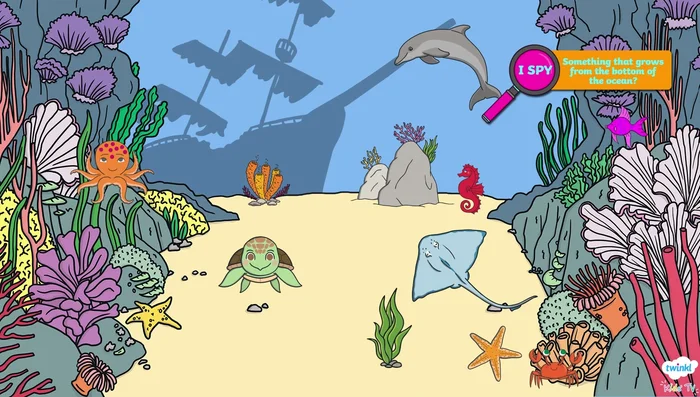 Identify something that grows from the bottom of the ocean and provides shelter for marine life.