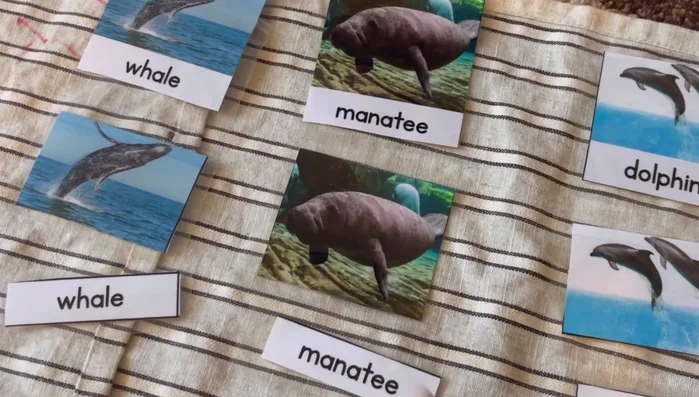 Finally, match words to words.