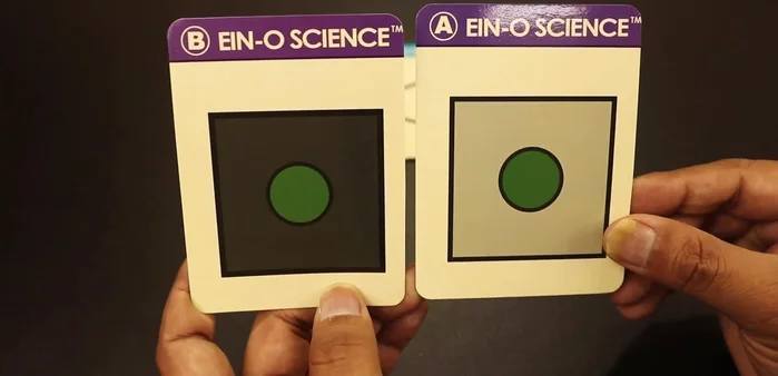 Height Illusion: Compare the heights of two figures. The perception of height is altered by the surrounding visual elements.