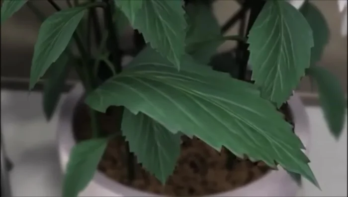 White and black objects: White objects reflect most visible light; black objects absorb most visible light.