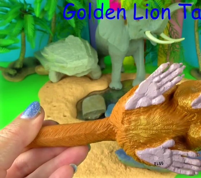 Description of Golden Lion Tamarin (size, fur color, tail, habitat, inability to use tail for grasping).