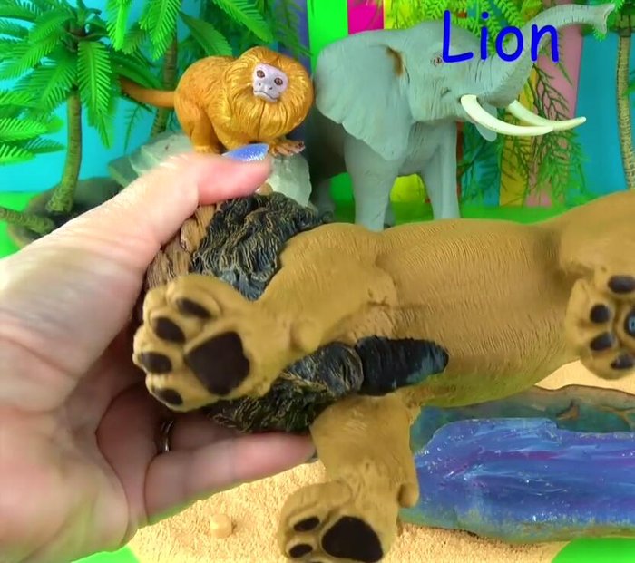 Facts about Lions (habitat, hunting roles of males and females, mane characteristics).