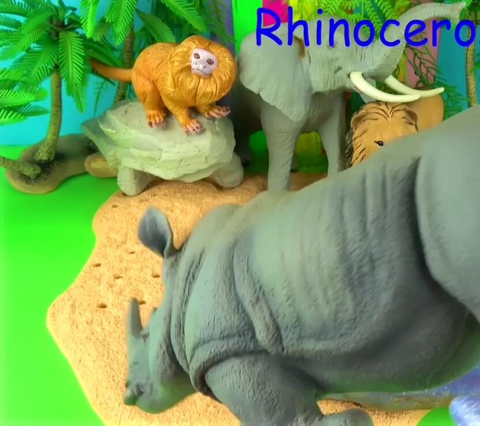Information on Rhinoceros (horn structure, mud wallowing behavior, history).