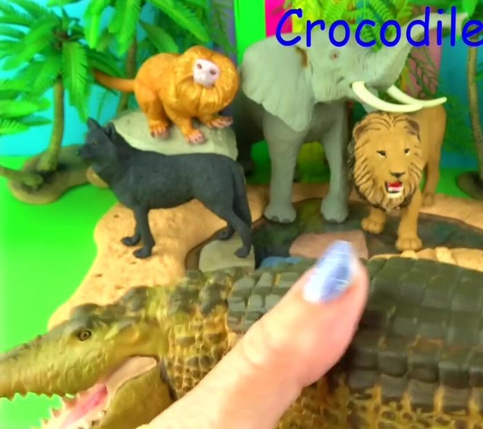Information on Crocodiles (swimming speed, thermoregulation, history, lifespan).