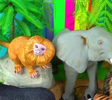 Amazing Wild Animal Facts:  Jumbo-Sized Fun & Fastest Land Animal!