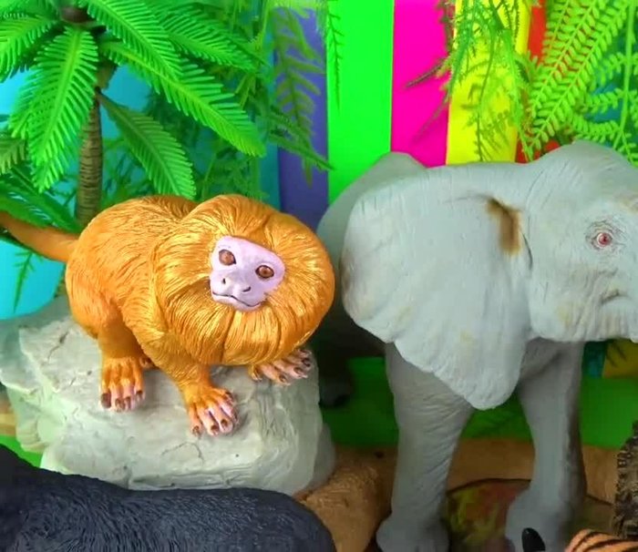 Introduction to jumbo-sized wild animal collection.