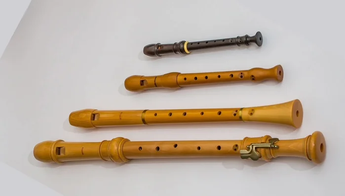 Harmonica: Tiny instrument; blow into it and move it to make sounds.