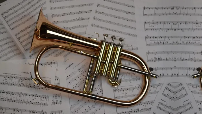 Harmonica: Tiny instrument; blow into it and move it to make sounds.