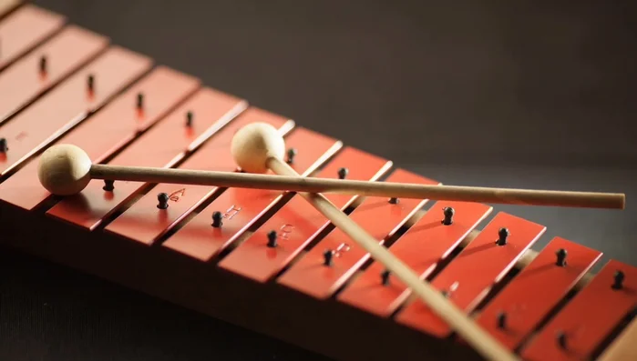 Xylophone: Colorful bars; hit with a stick to play music, each bar makes a different sound.