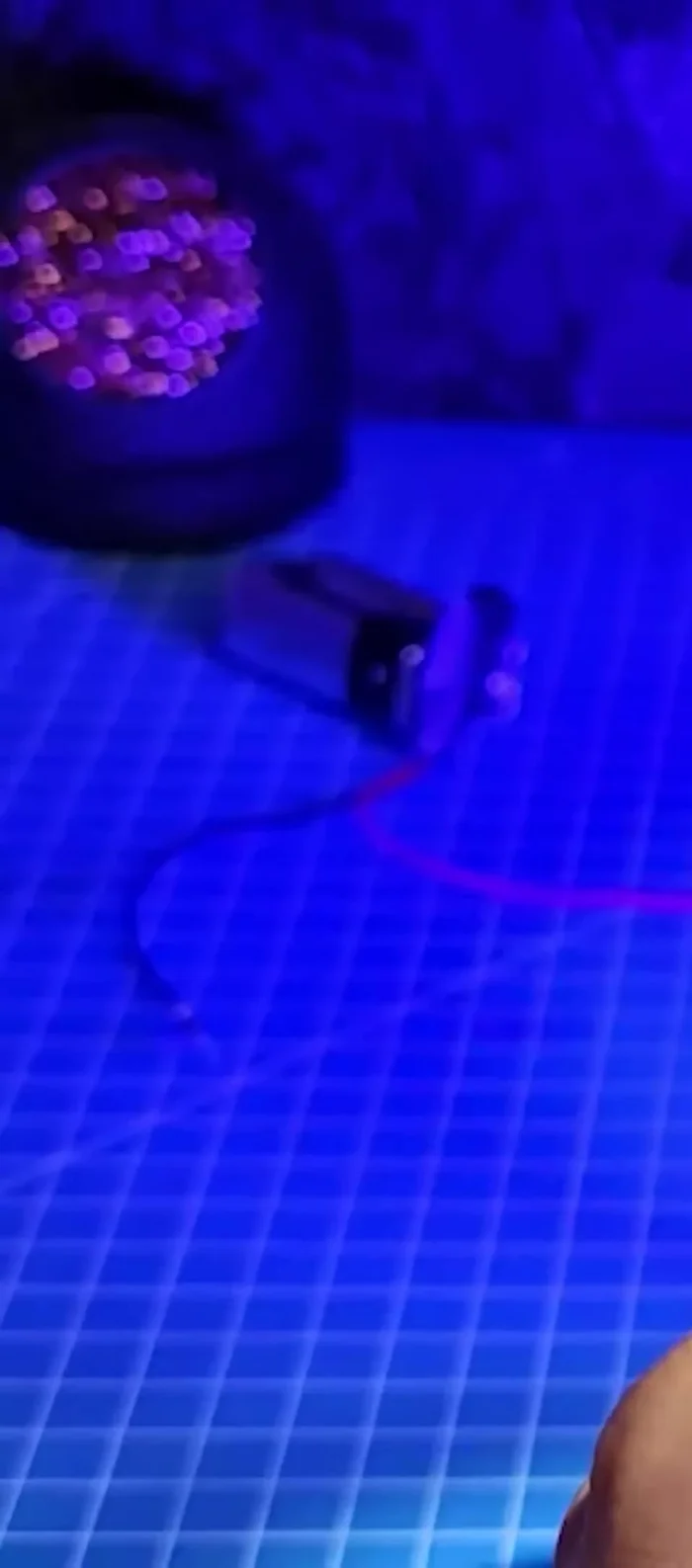 Electron Flow: Photons knock electrons out of the silicon, creating electron-hole pairs. Electrons flow through a wire to the positive electrode, creating a current.