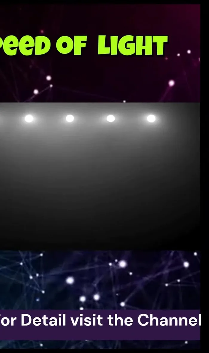 Photosynthesis: Plants use light energy to produce food.