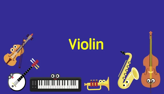 Find the violin