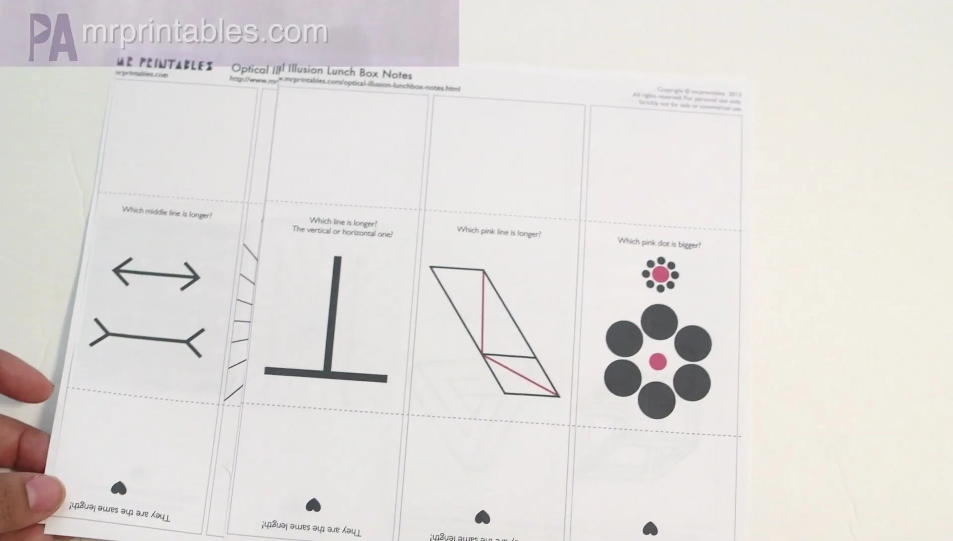 The printed optical illusion lunchbox note set